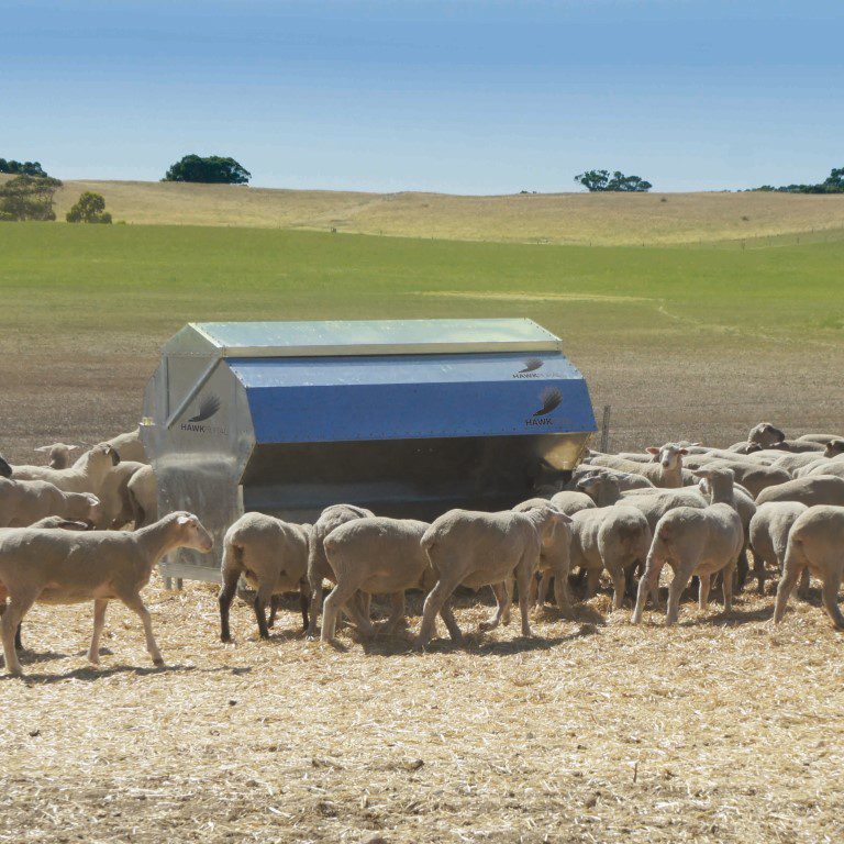 Sheep Feeders for Sale - Bullmax